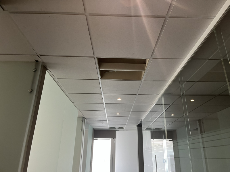 Renta Oficinas Plaza La Antgua Z Esmeralda 320 M2
