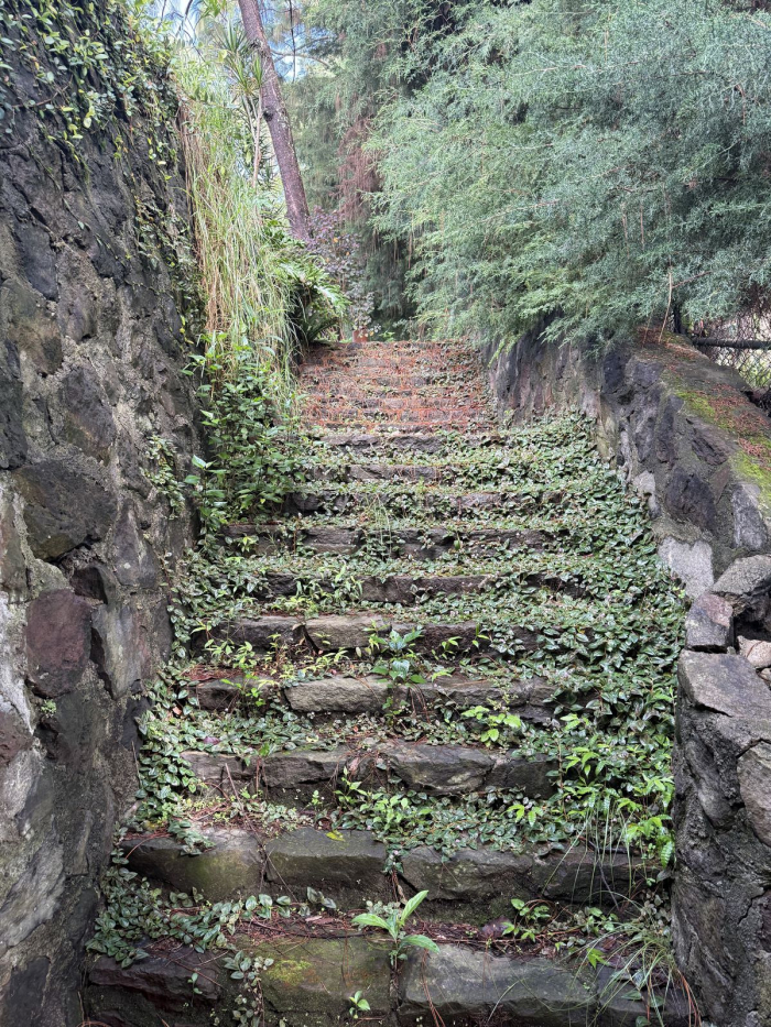 terreno camino a la fábrica