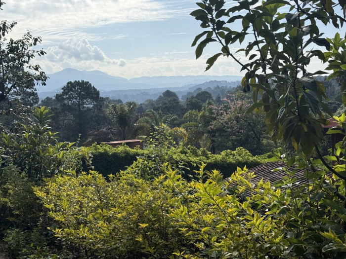 terreno camino a la fábrica