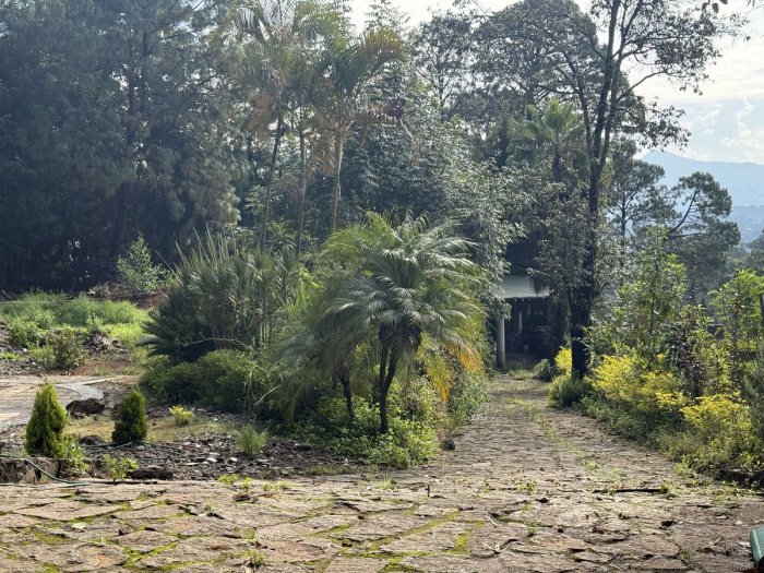 terreno camino a la fábrica
