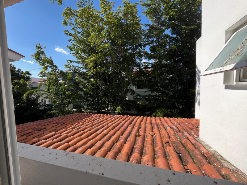 Casa En Condominio En Renta En Fraccionamiento Valle Real