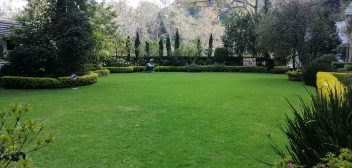 VENTA O RENTA DEPARTAMENTO EN LOMAS DE REFORMA, LOMAS DE CHAPULTPEC