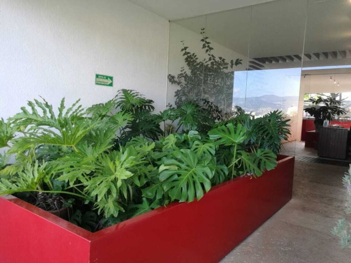 venta departamento con terraza, bosque de las lomas