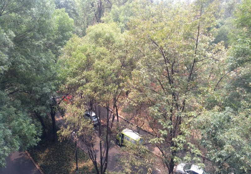 Departamento Amueblado En Renta �?? Polanco