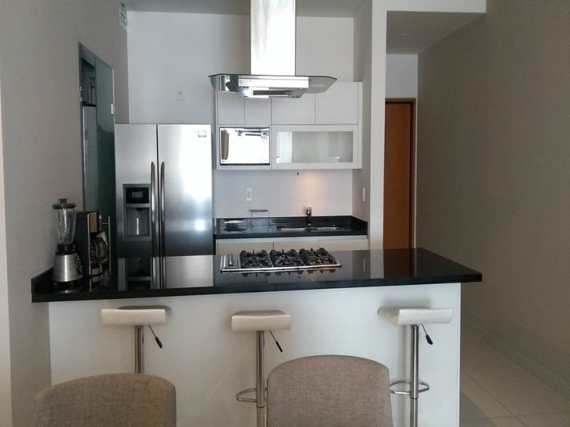 Departamento Amueblado En Renta �?? Carso / Polanco