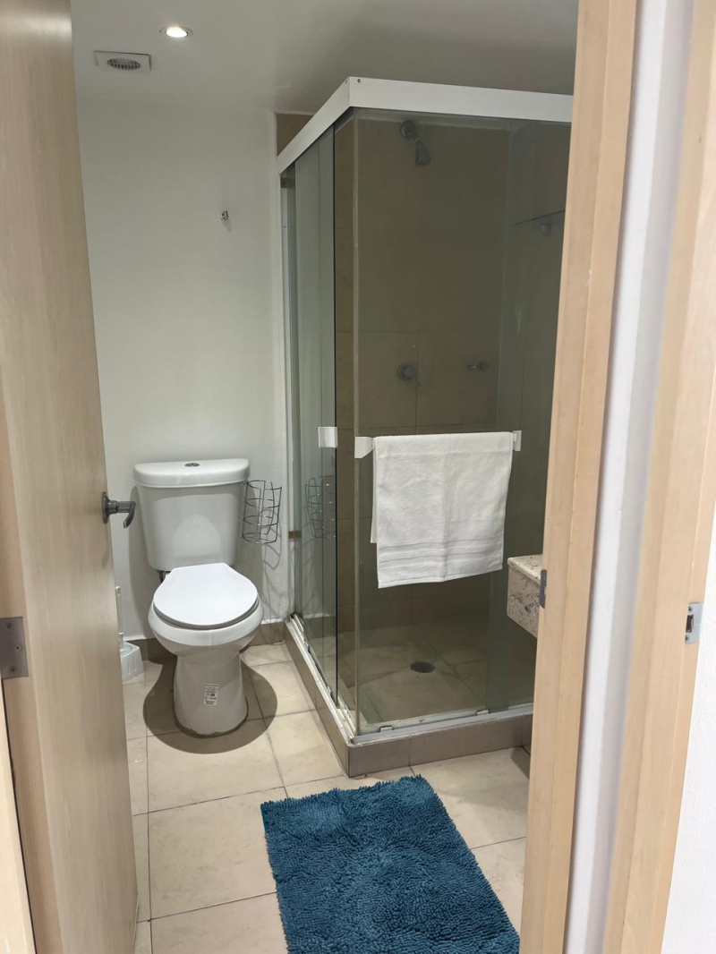 Departamento En Renta En Verónica Anzures