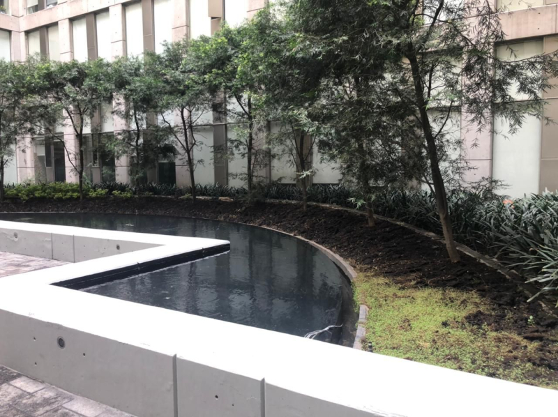 Departamento en Renta en Centro De La Ciudad de MÃ©xico Area 1