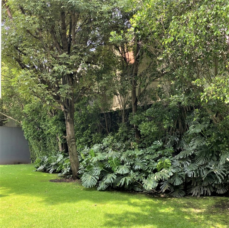 CASA EN CONDOMINIO EN JARDINES DEL PEDREGAL (VENTA) 