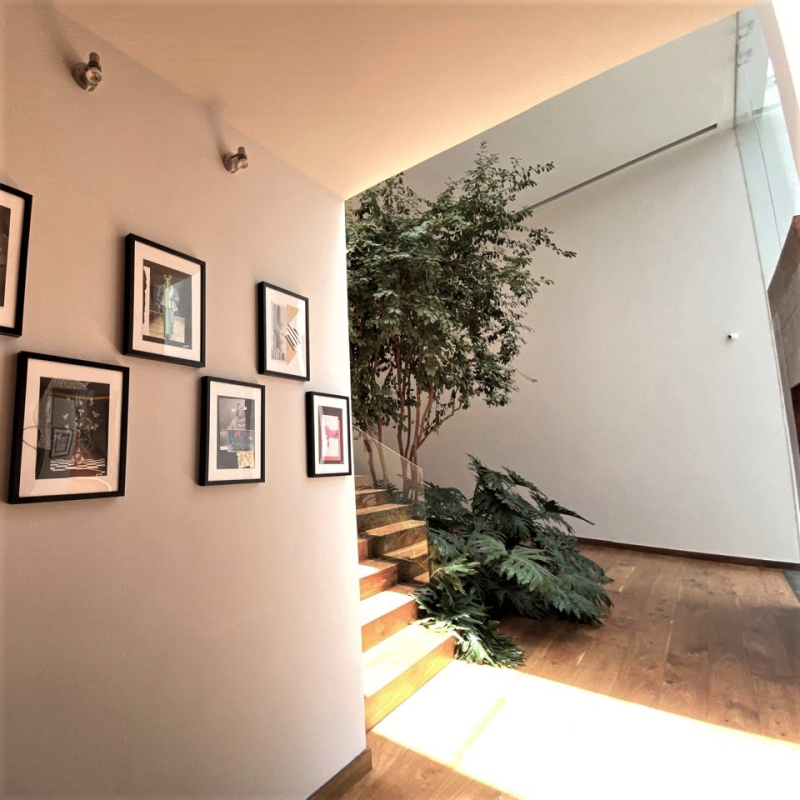 CASA EN CONDOMINIO EN JARDINES DEL PEDREGAL (VENTA) 