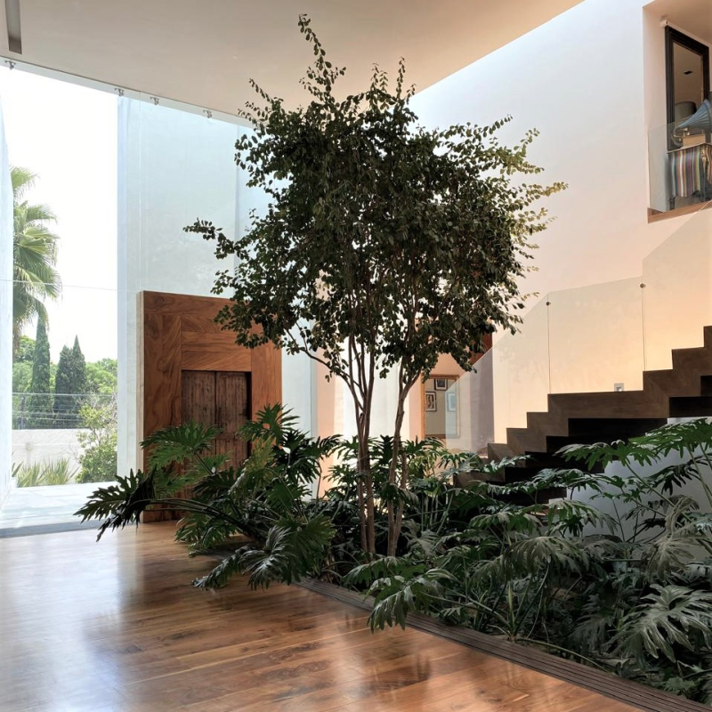 CASA EN CONDOMINIO EN JARDINES DEL PEDREGAL (VENTA) 