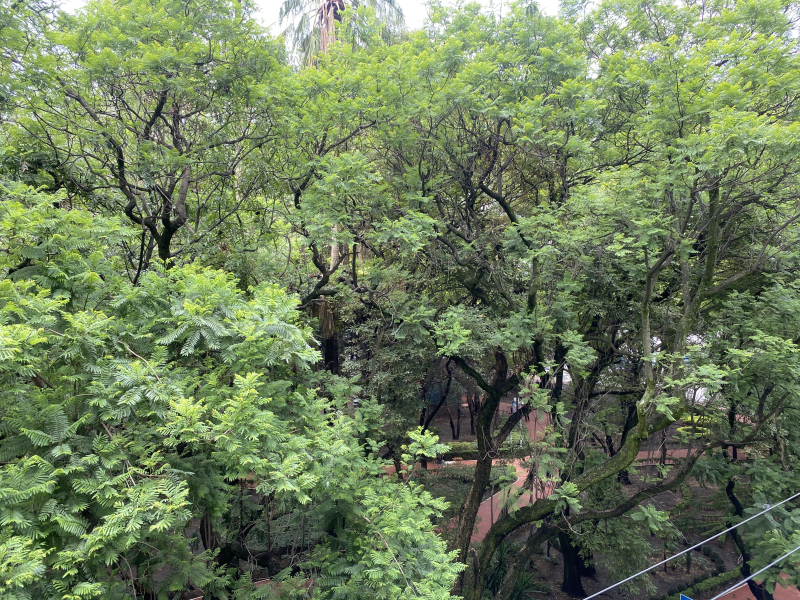 DEPARTAMENTO EN RENTA PARQUE MEXICO