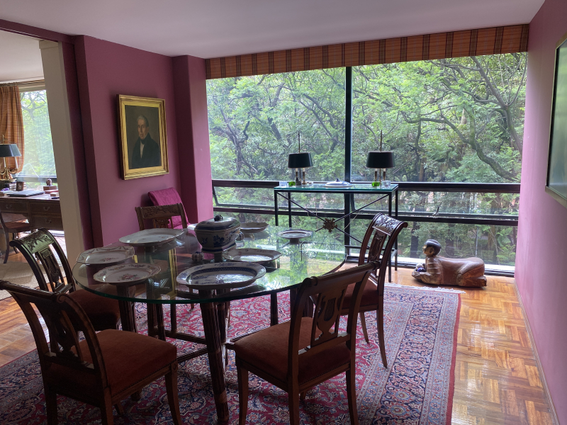 DEPARTAMENTO EN RENTA PARQUE MEXICO