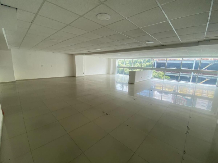 Exclusivas Oficinas En Renta En El Corazón De La Colonia Juárez