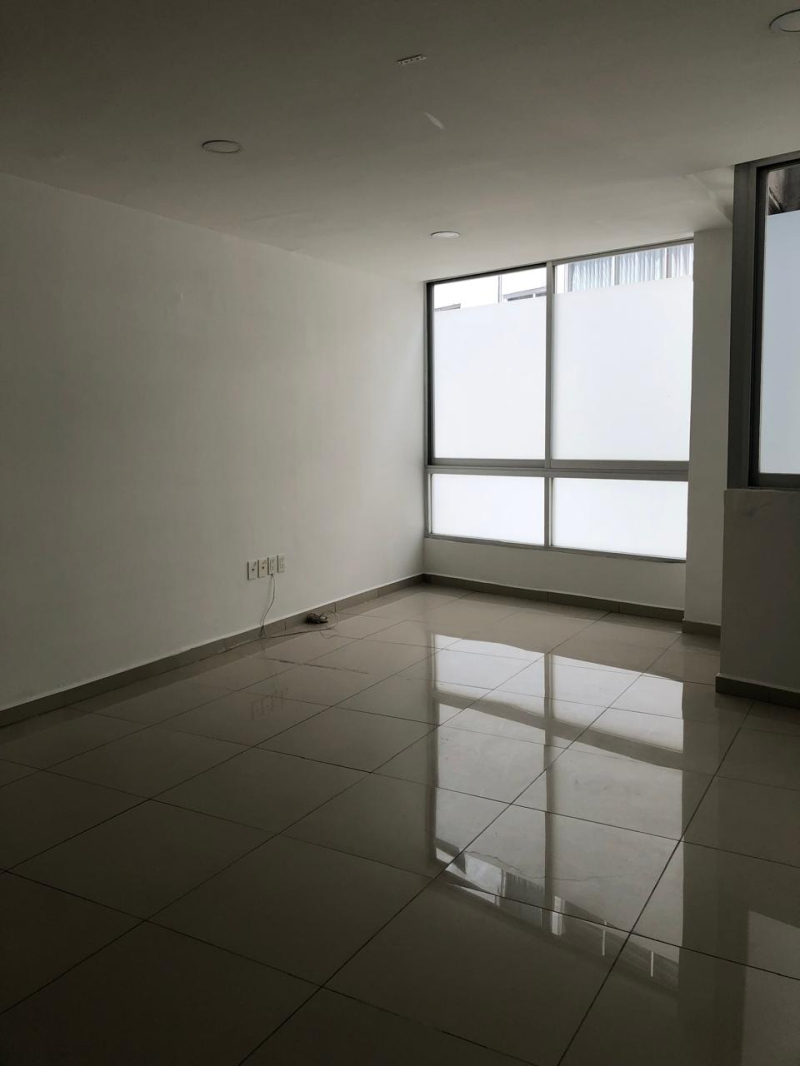 Oficina En Renta En Polanco