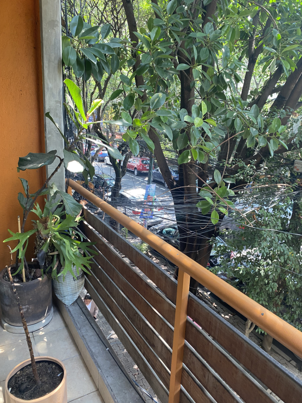 Departamento En Renta En Condesa