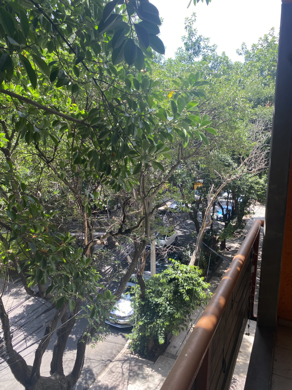 Departamento En Renta En Condesa