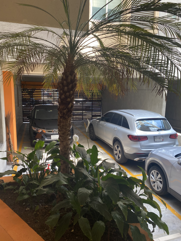 Departamento En Renta En Condesa