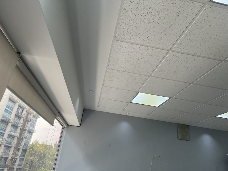 Oficina En Renta Arquimedes 170 M2 Funcional