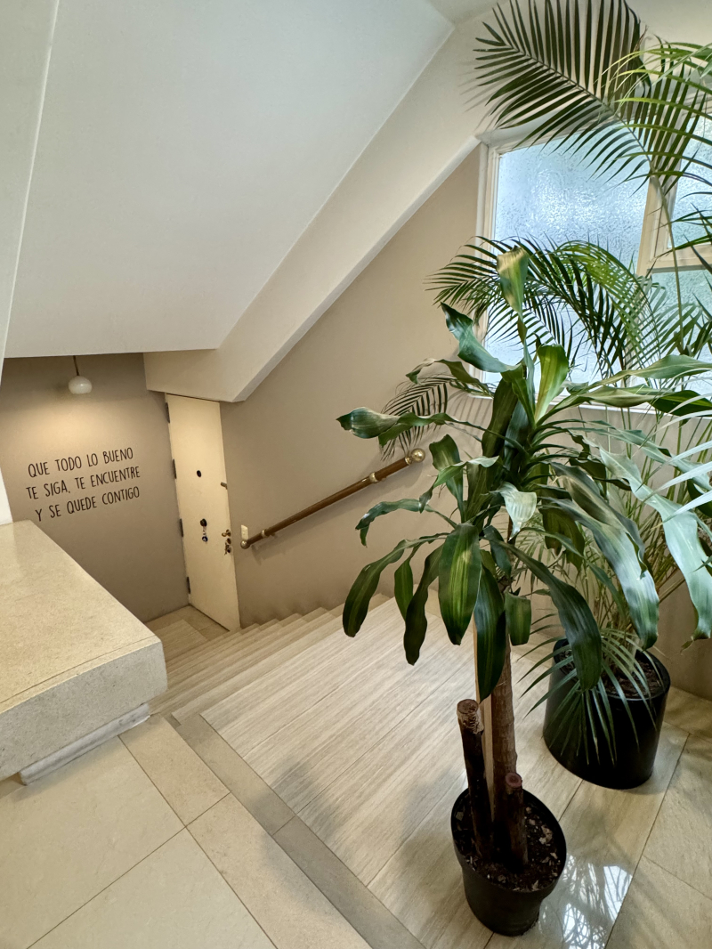 Departamento En Renta En Polanco