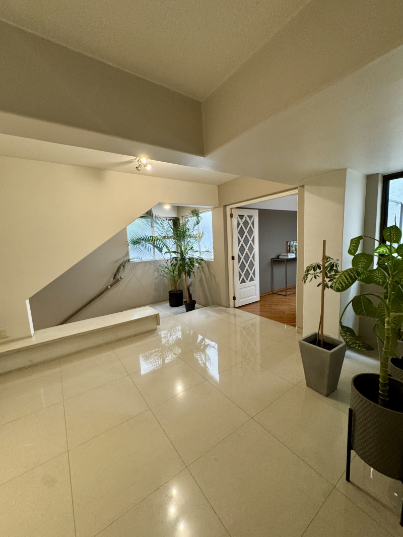 Departamento En Renta En Polanco