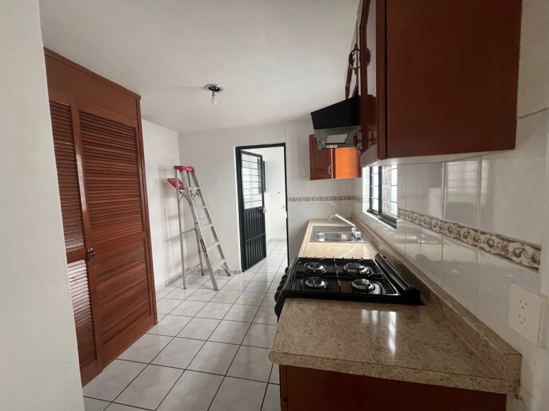 Departamento En Renta En Colonia Italia Providencia Guadalajara