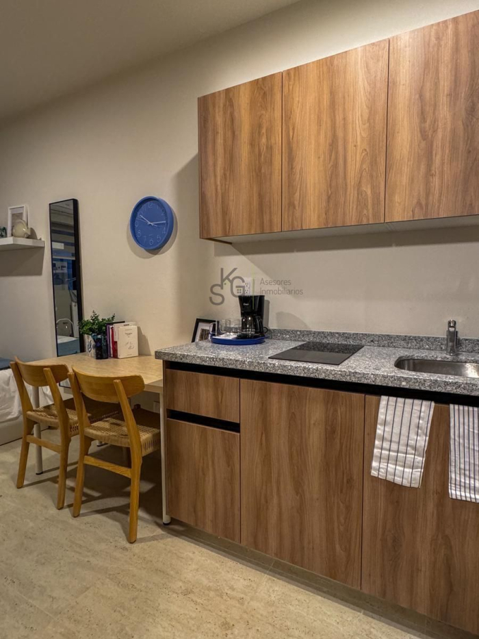 renta de lofts interlomas