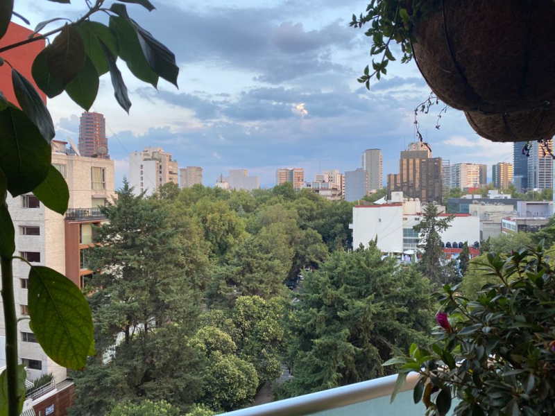  RENTA DEPARTAMENTO EN POLANCO