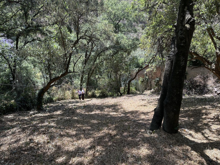 Terreno En Venta Privada  Lomas Anahuac