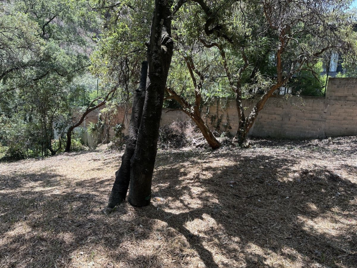 Terreno En Venta Privada  Lomas Anahuac