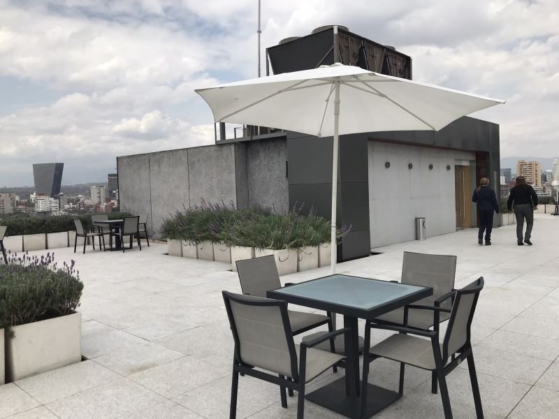 Oficina En Renta Ejercito Nacional 363 M2 Excelente Opcion