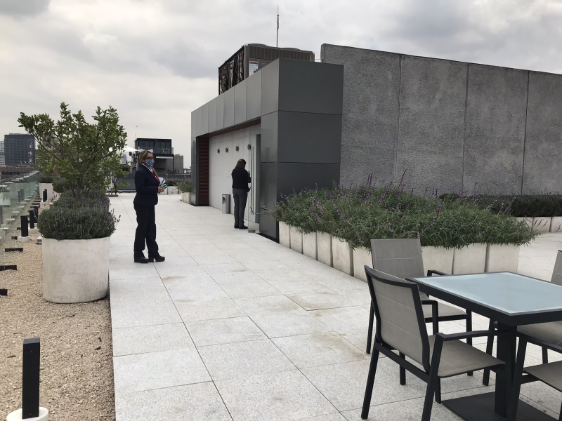 Oficina En Renta Ejercito Nacional 363 M2 Excelente Opcion