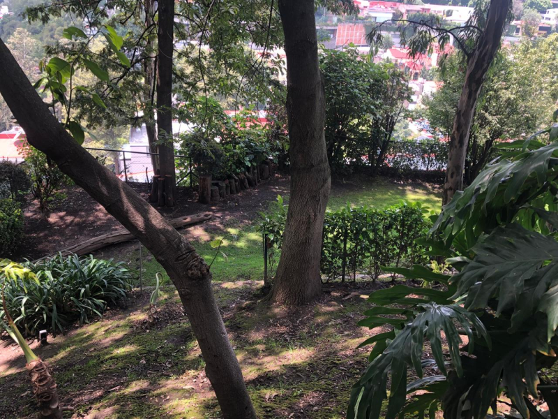 Departamento En Renta En Lomas De Bezares