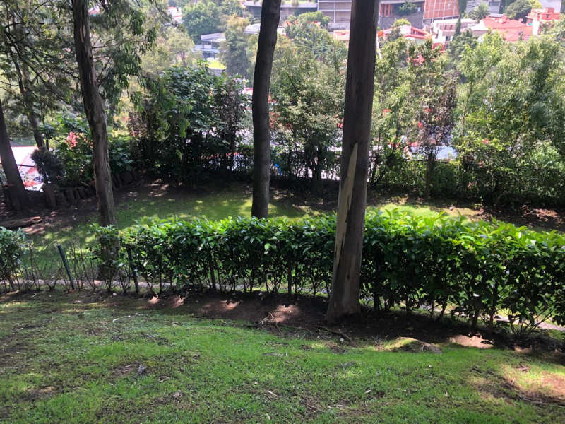Departamento En Renta En Lomas De Bezares