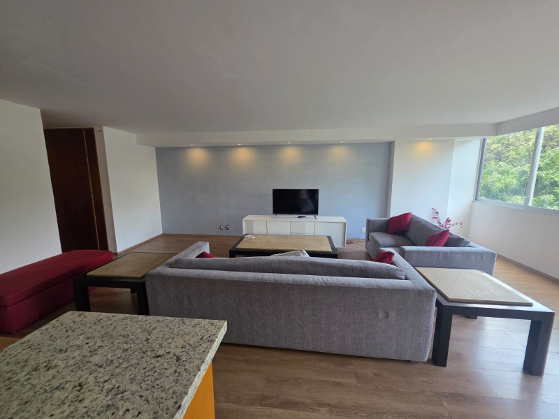 Departamento En Renta En Polanco