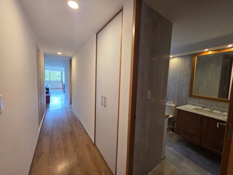 Departamento En Renta En Polanco