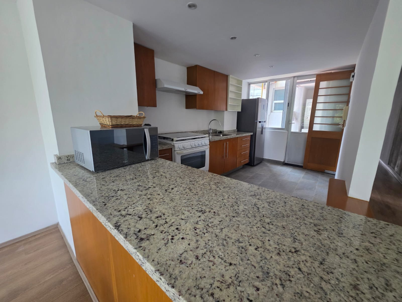 Departamento En Renta En Polanco