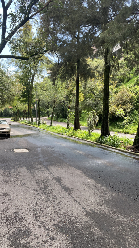 Casa En Renta �?? Bosques De Las Lomas