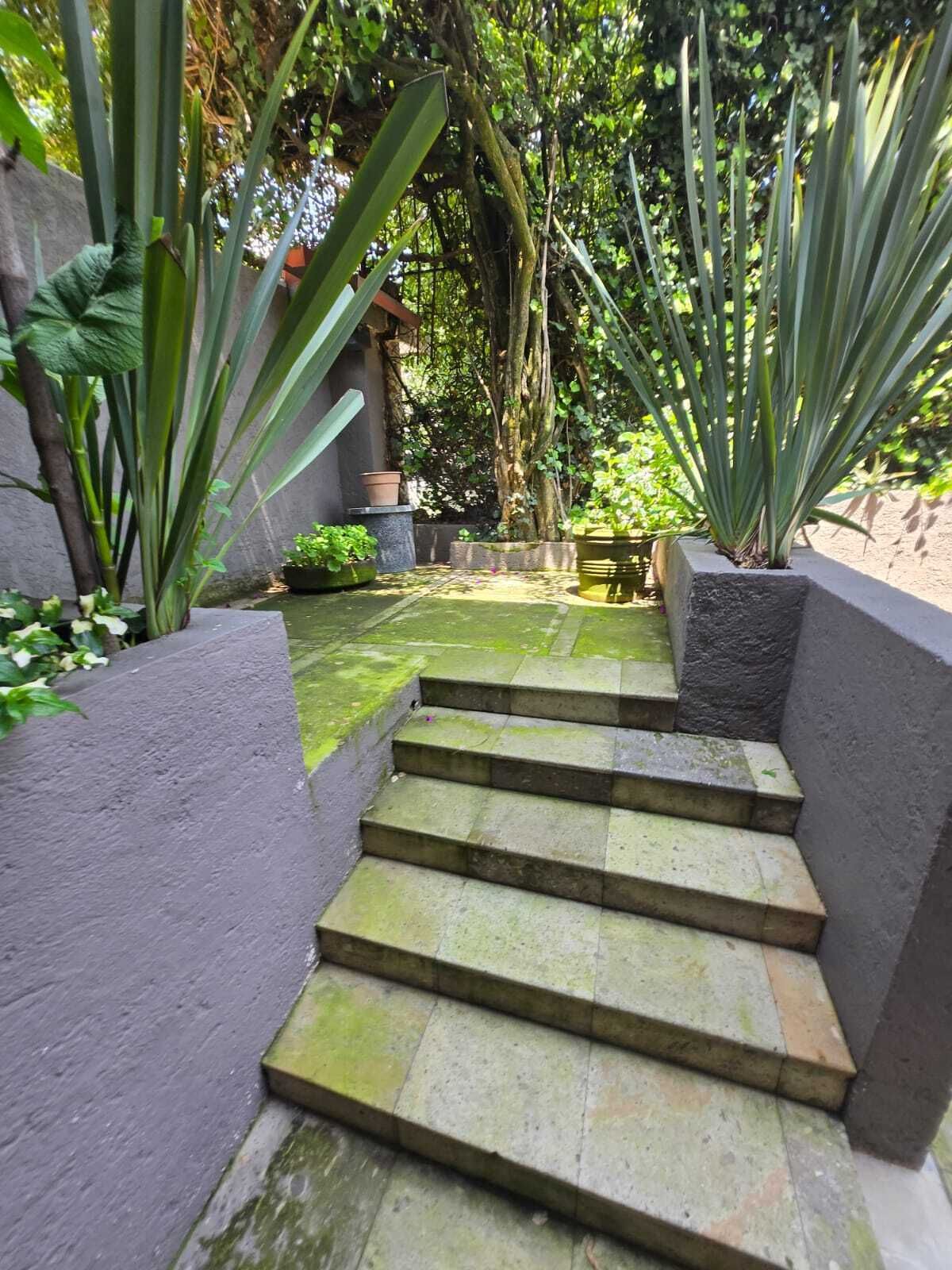 lomas de chapultepec loft renta $15,000mn