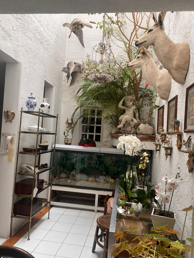 casa en venta en lomas de tecamachalco bosques i y ii