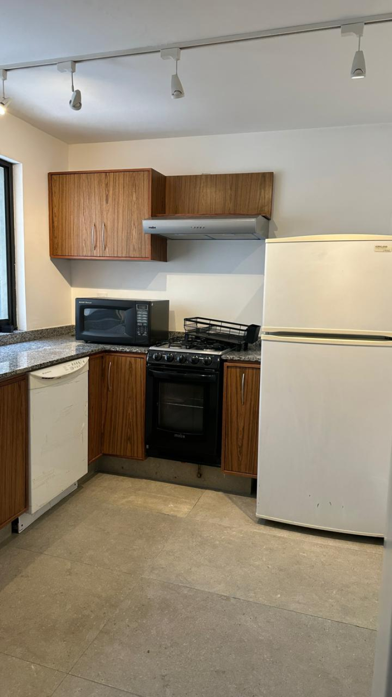 Departamento En Renta En Polanco