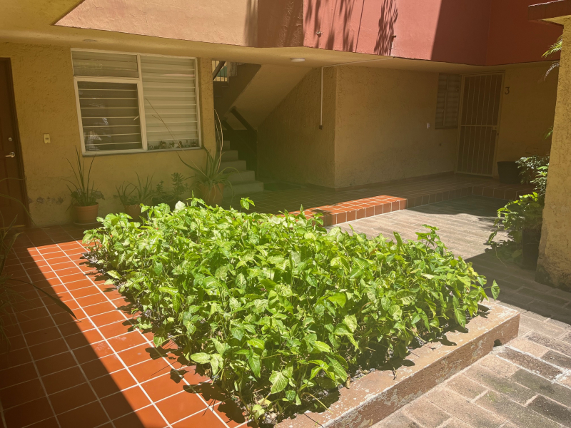 Departamento En Venta Planta Baja Zapopan