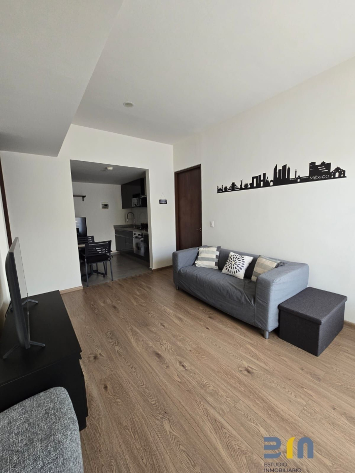 departamento en venta colonia anahuac ll