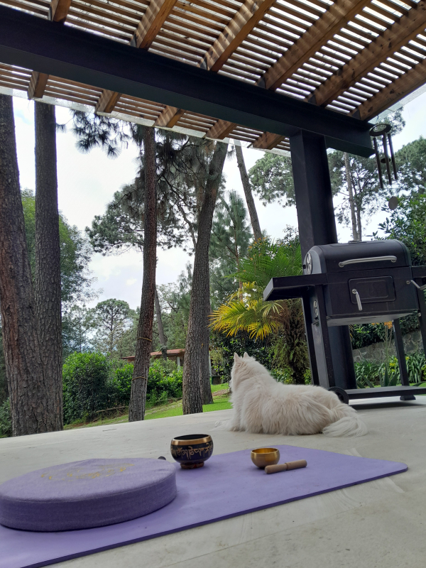 Casa En Renta En Avándaro