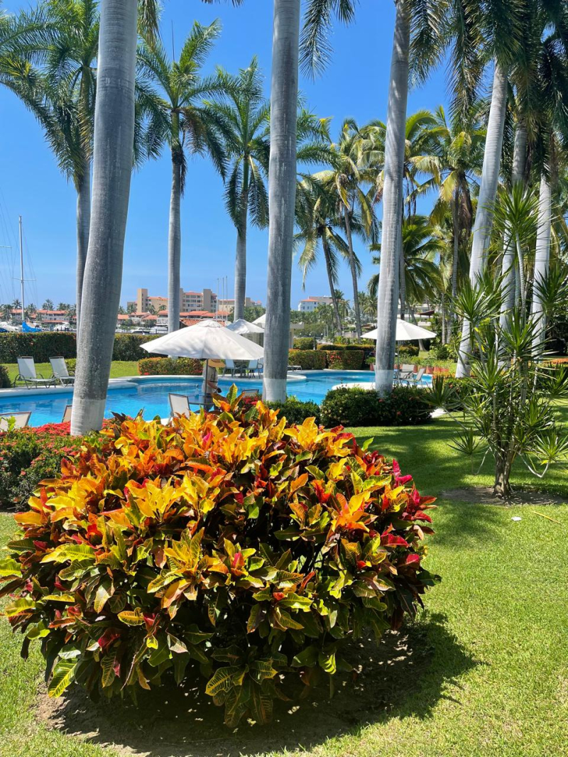 Casa En Renta En Ixtapa Zihuatanejo 