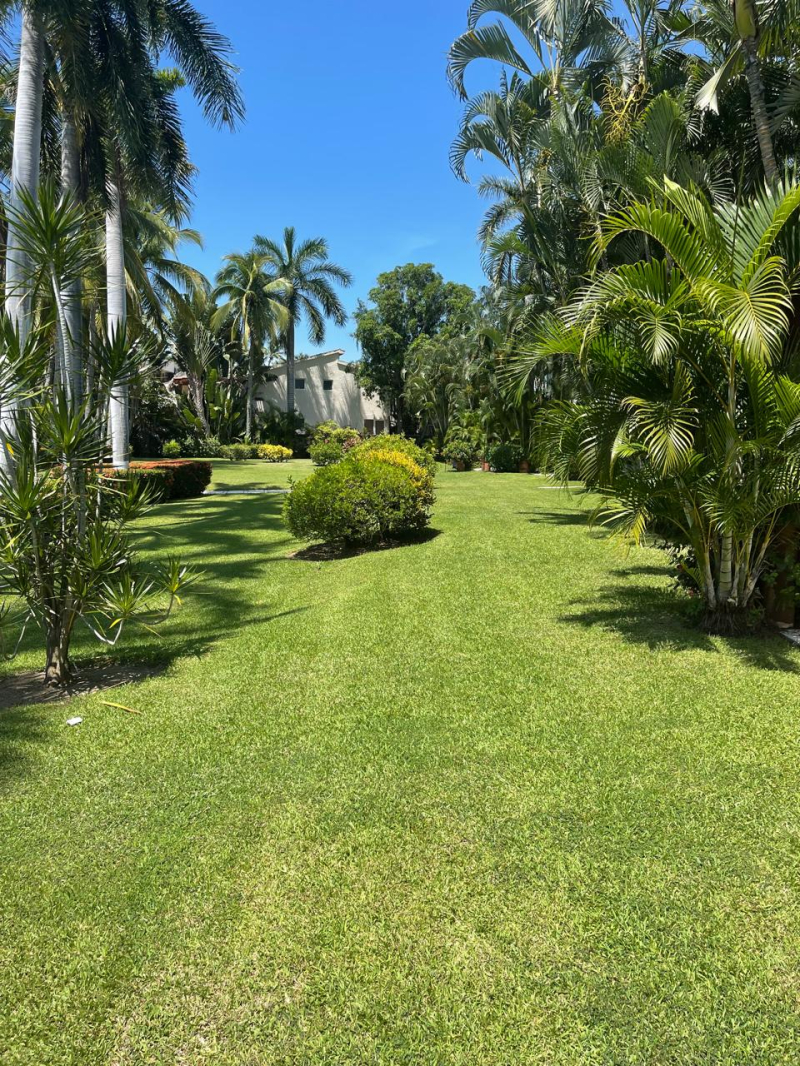 Casa En Renta En Ixtapa Zihuatanejo 