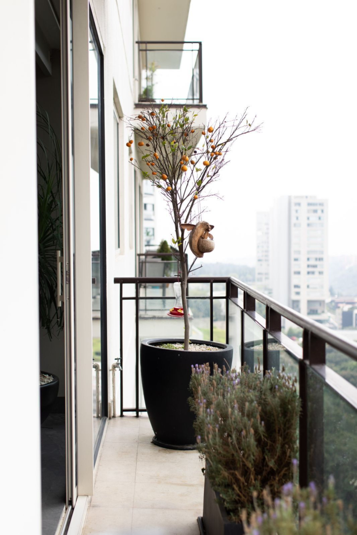 Departamento en venta en Cumbres de Santa Fe piso bajo