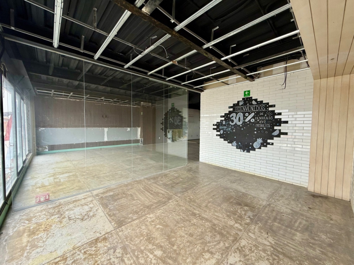 local comercial en renta en zona bosques, av stim