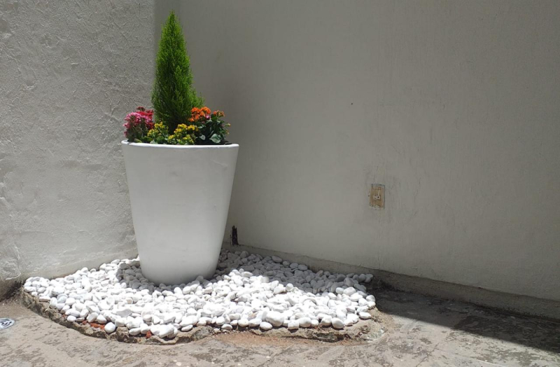 Casa En Renta Parque De La Castellana Zapopan