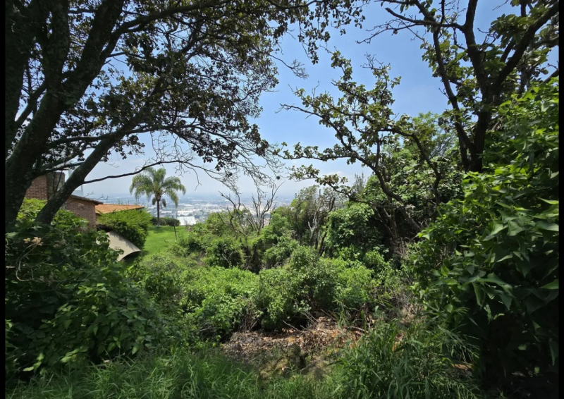 TERRENO EN VENTA EN EL PALOMAR