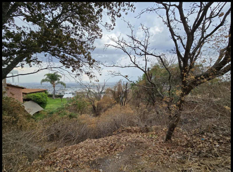 TERRENO EN VENTA EN EL PALOMAR